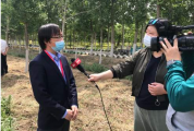 八旬老人遭遇网络投资诈骗 中信银行南京分行及时劝阻
